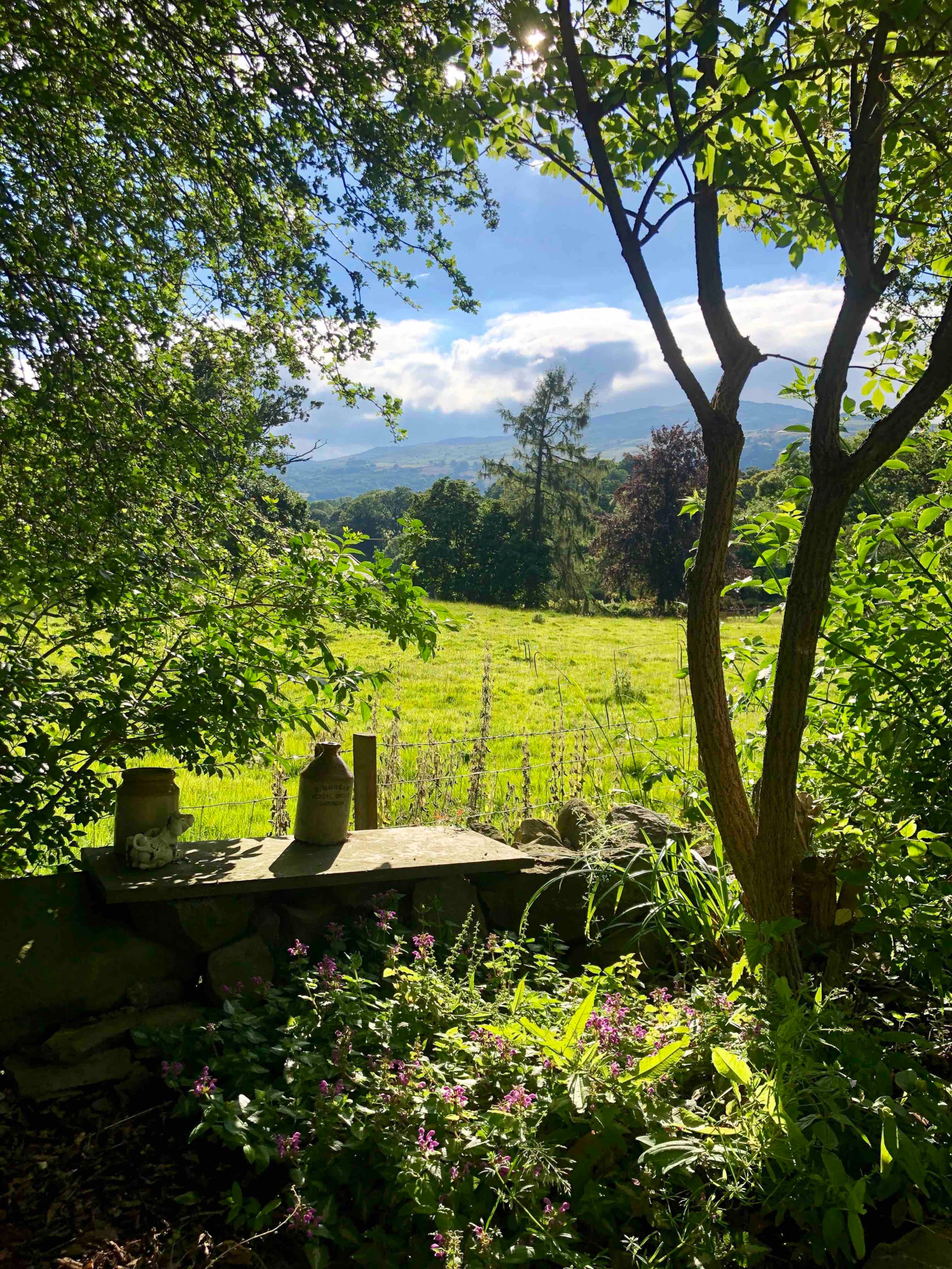 Mountain views from the cottage garden, across the neighbouring fields